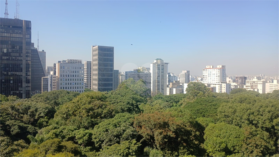 Foto REO1178898