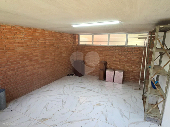 Foto REO1178928