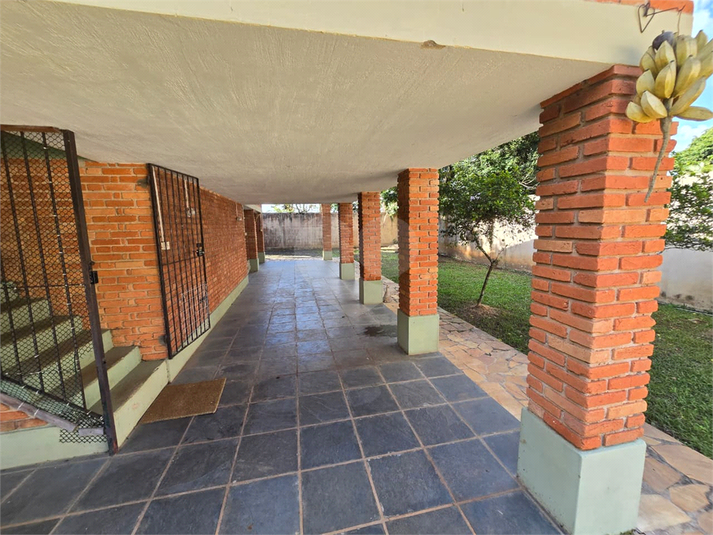 Foto REO1178928