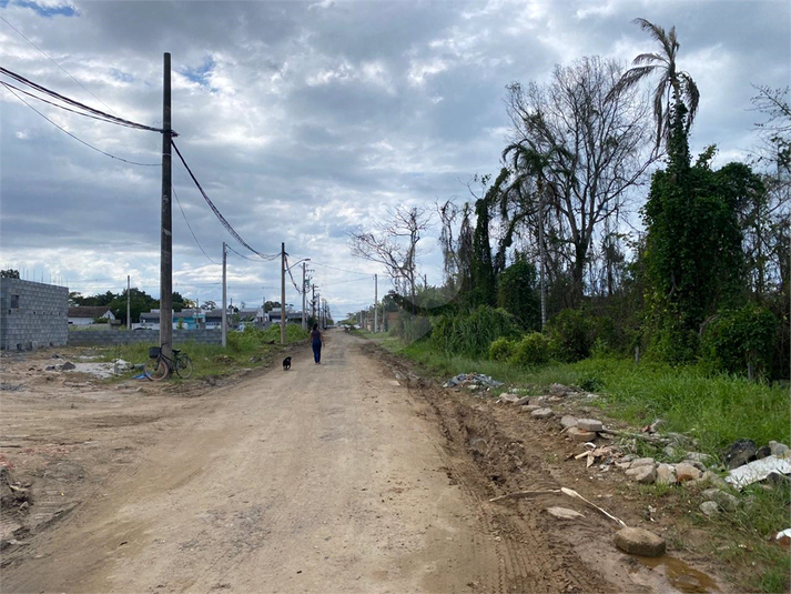 Foto REO1178942