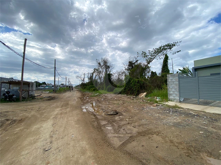 Foto REO1178942