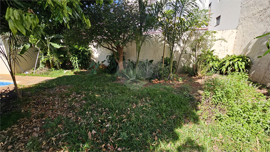 Foto REO1178998