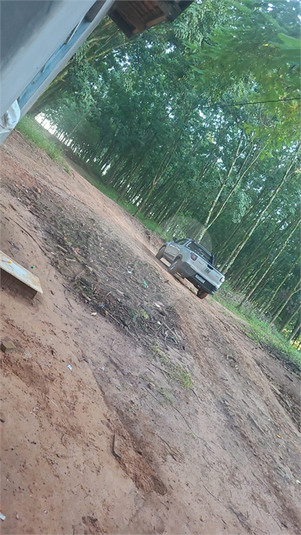 Foto REO1179005