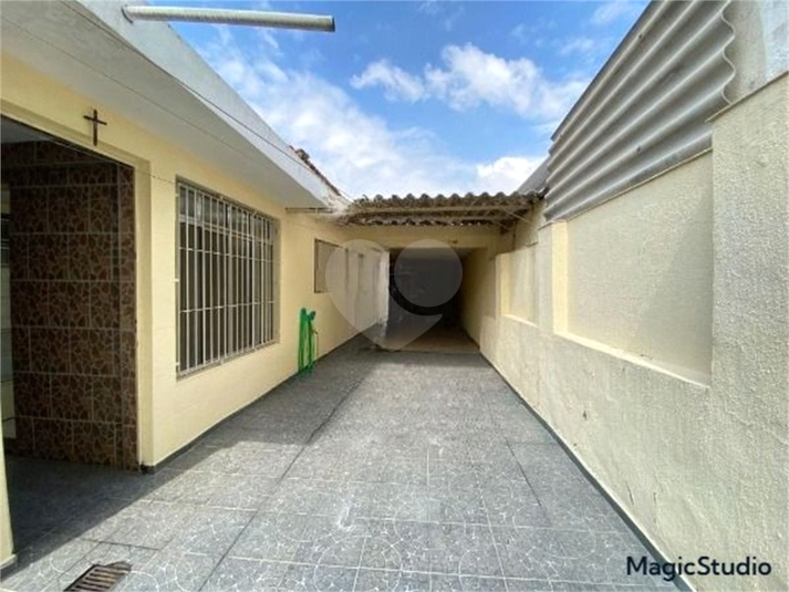 Foto REO1179049