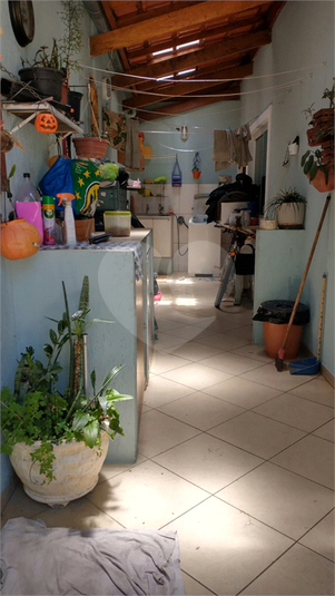 Foto REO1179076