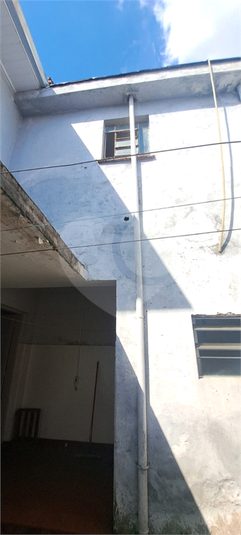 Foto REO1179215