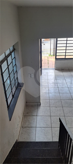 Foto REO1179215
