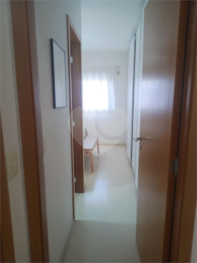 Foto REO1179436