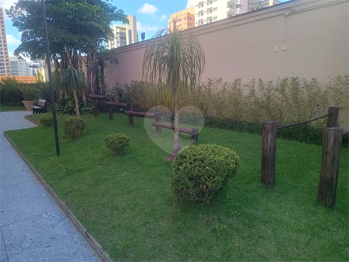 Foto REO1179436