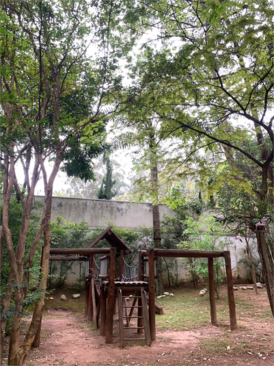 Foto REO1179439