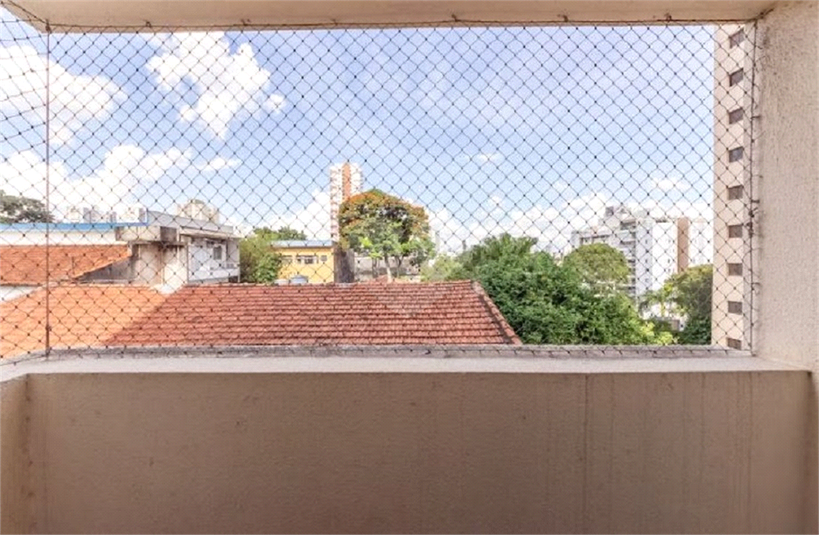 Foto REO1179527