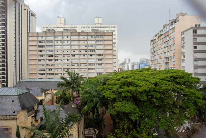Foto REO1179563