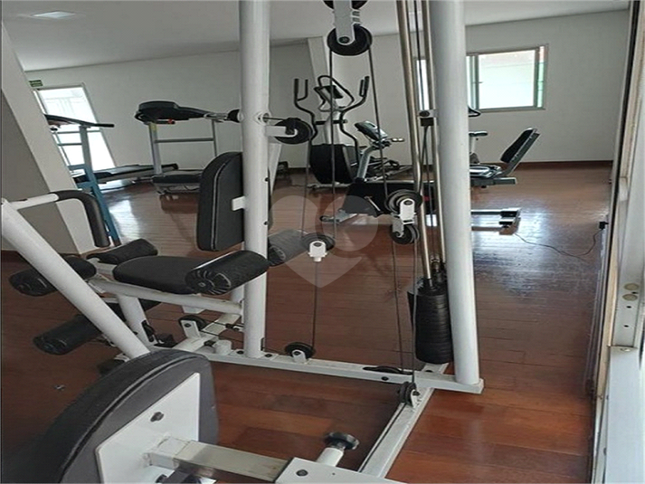Foto REO1179589