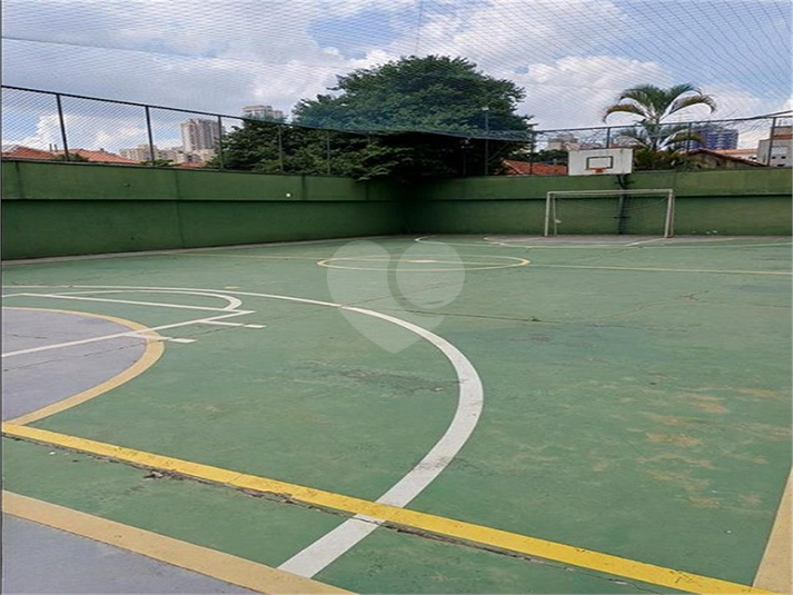 Foto REO1179589