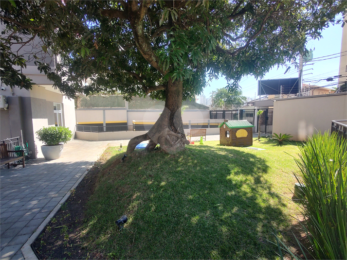 Foto REO1179709