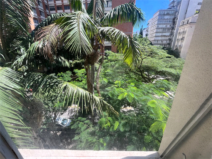 Foto REO1179718