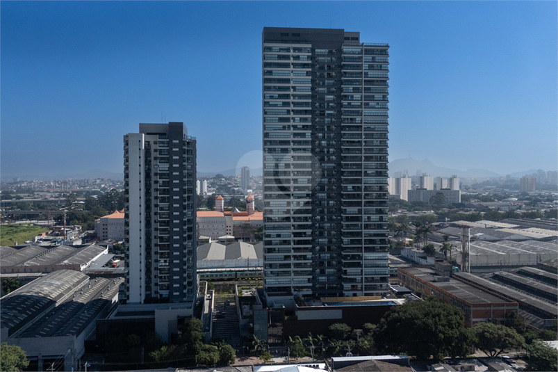 Foto REO1179765
