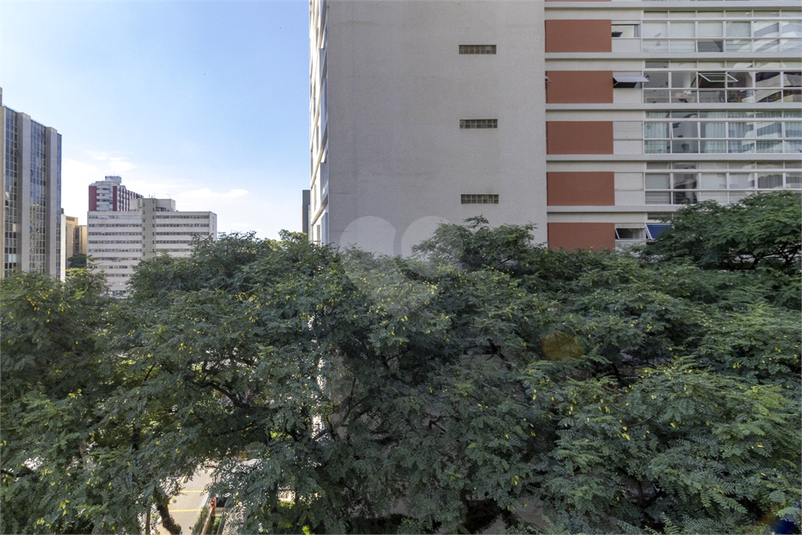 Foto REO1179834