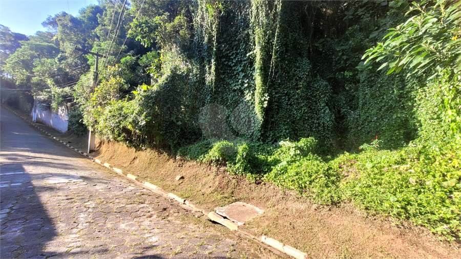 Foto REO1180180