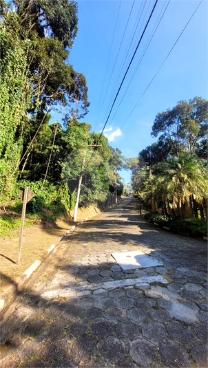 Foto REO1180180