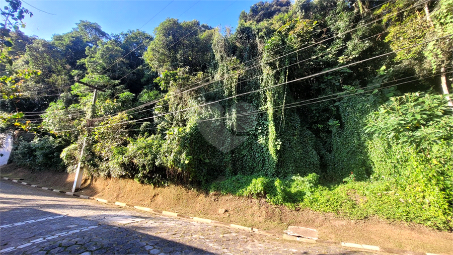 Foto REO1180180