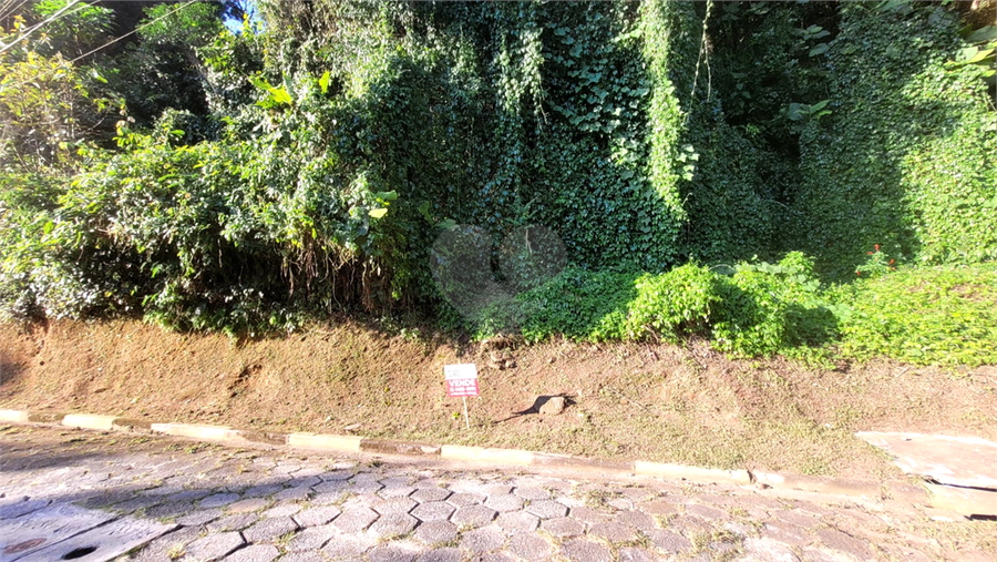 Foto REO1180180