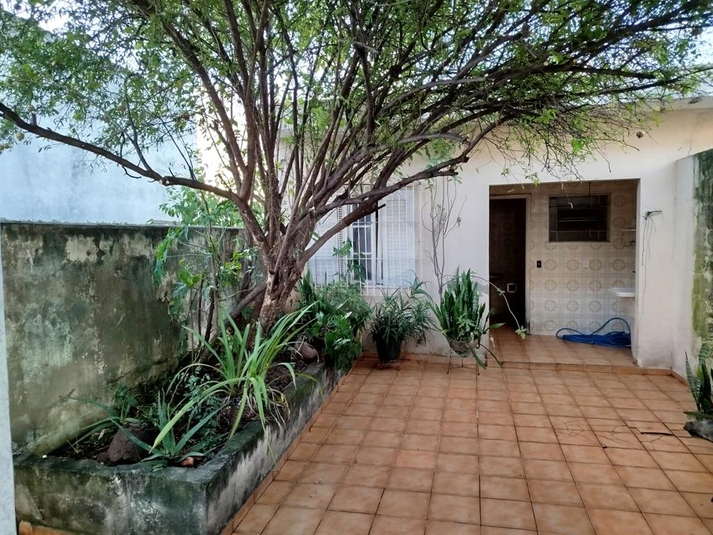 Foto REO1180234