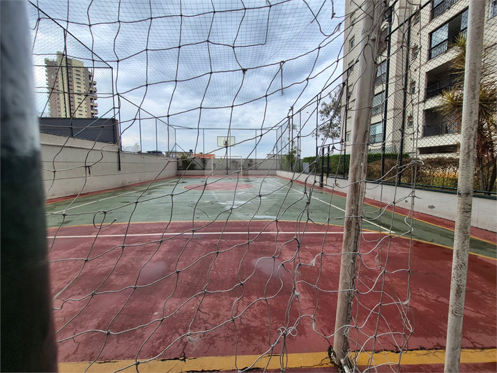 Foto REO1180242