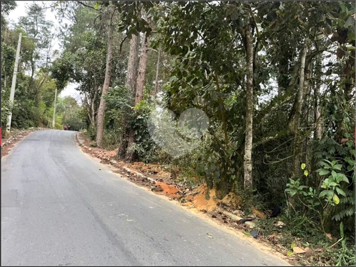 Foto REO1180247