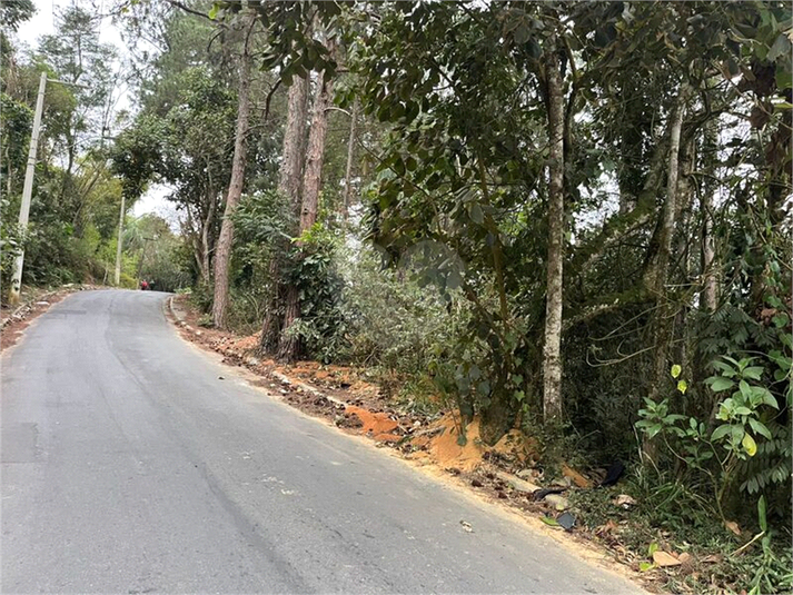 Foto REO1180247