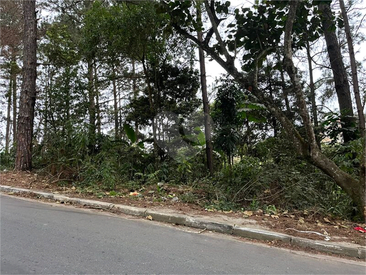Foto REO1180247