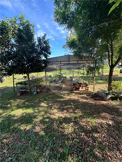 Foto REO1180364