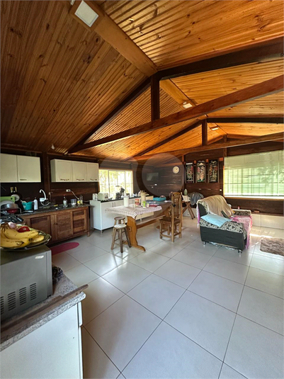 Foto REO1180364