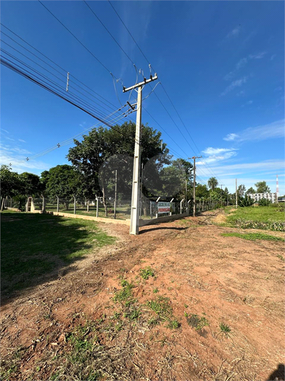 Foto REO1180364
