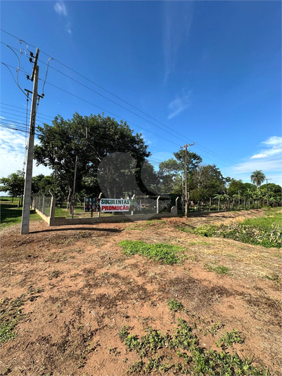 Foto REO1180364