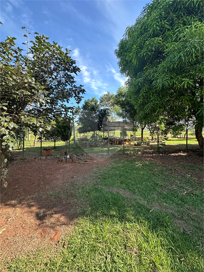 Foto REO1180364