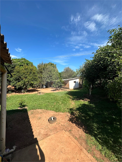 Foto REO1180364
