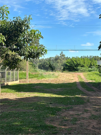 Foto REO1180364