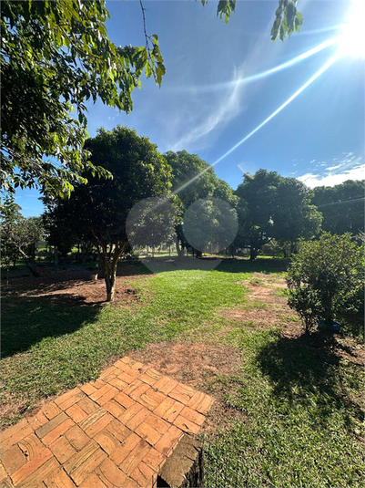 Foto REO1180364