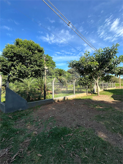 Foto REO1180364
