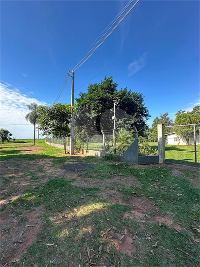 Foto REO1180364