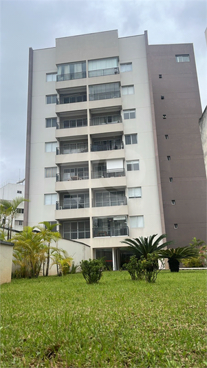 Foto REO1180375