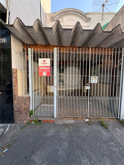 Foto REO1180486