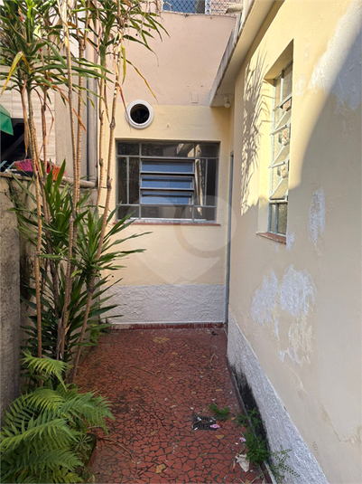 Foto REO1180486