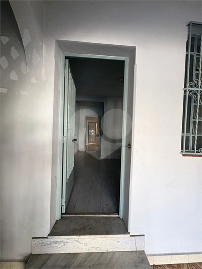 Foto REO1180486