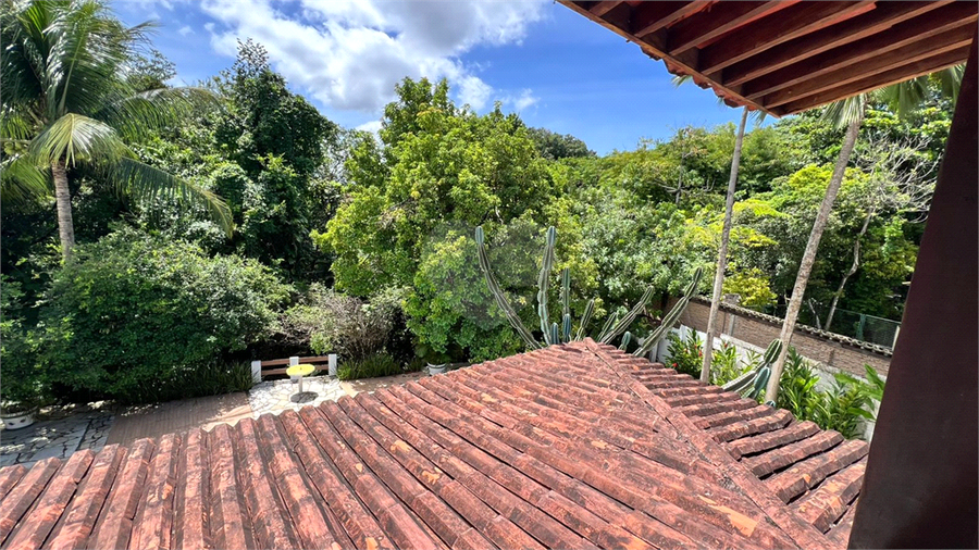 Foto REO1180574