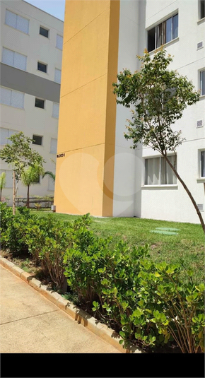 Foto REO1180597