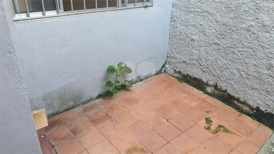 Foto REO1180758