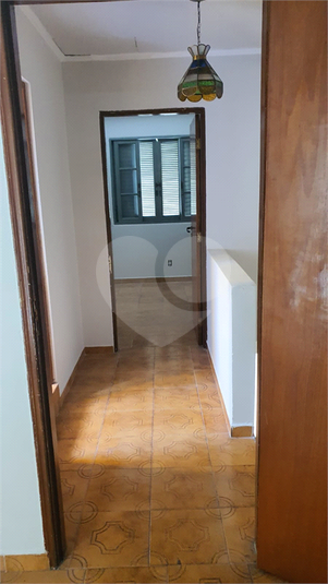 Foto REO1180758