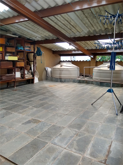 Foto REO1180798